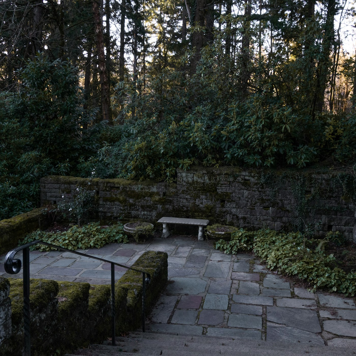 Masonry inspiration: an established stone retaining wall, flagstone terrace, and steps in a wooded garden